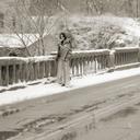     Bridge Serenade